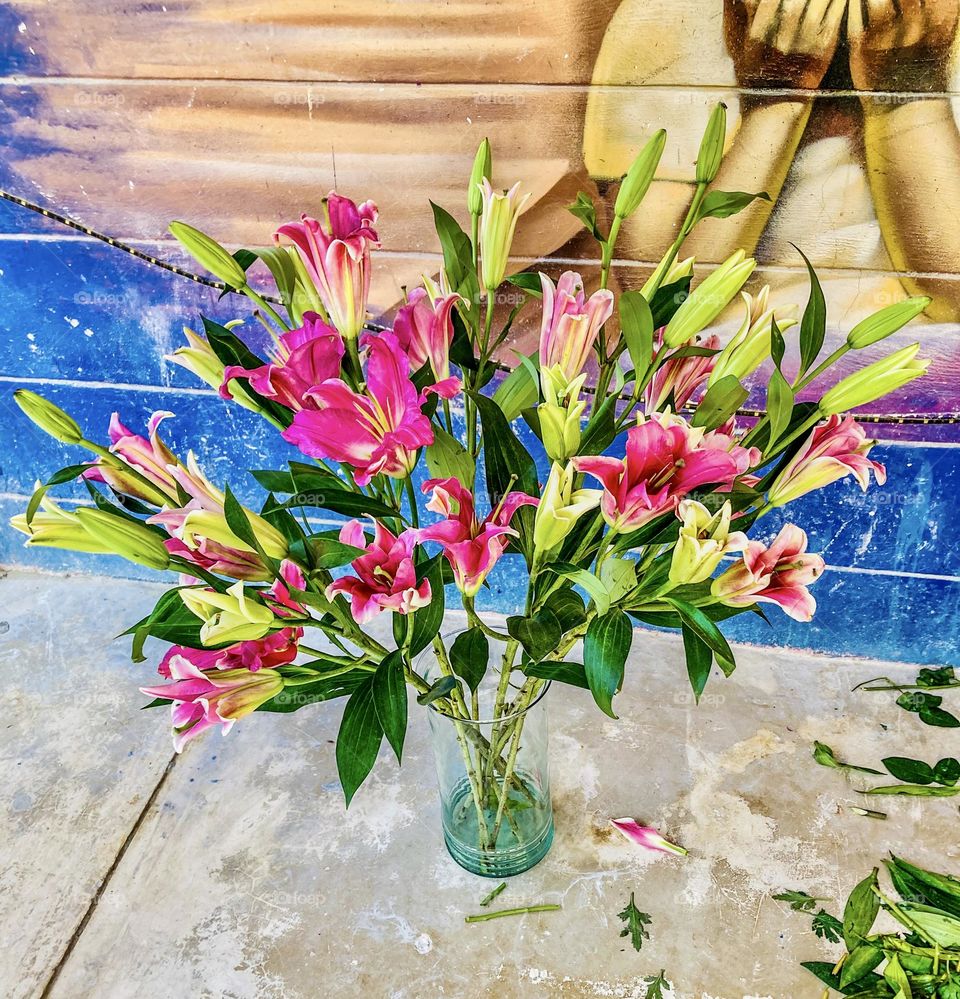 A large vase being filled with lily of the Incas.