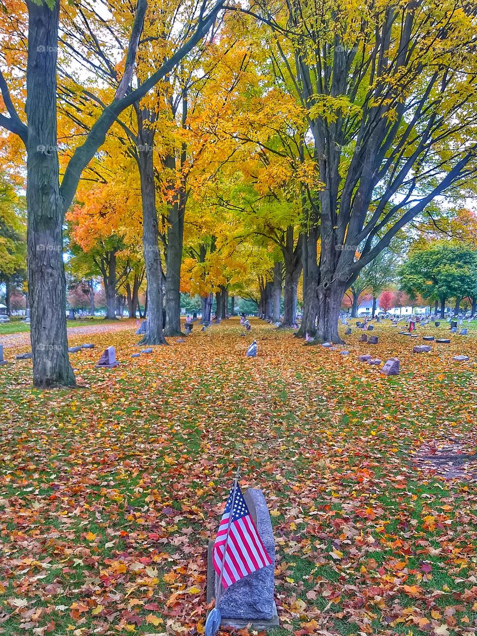 flag on fall grave