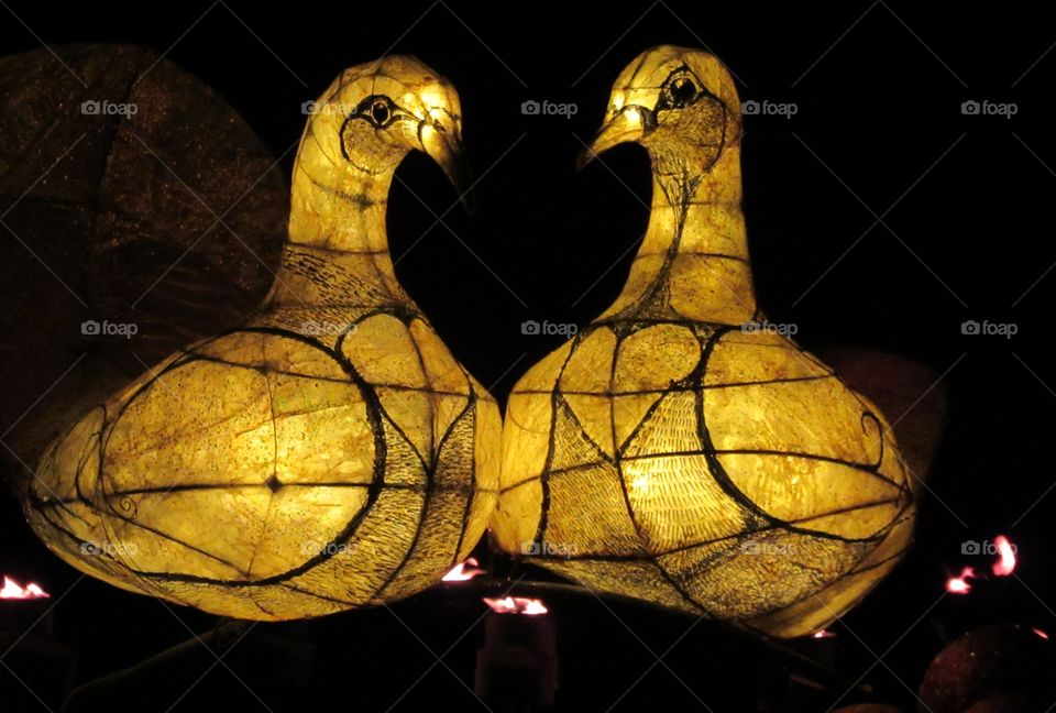 Two turtle doves from the christmas carol the twelve days of christmas display at stourhead