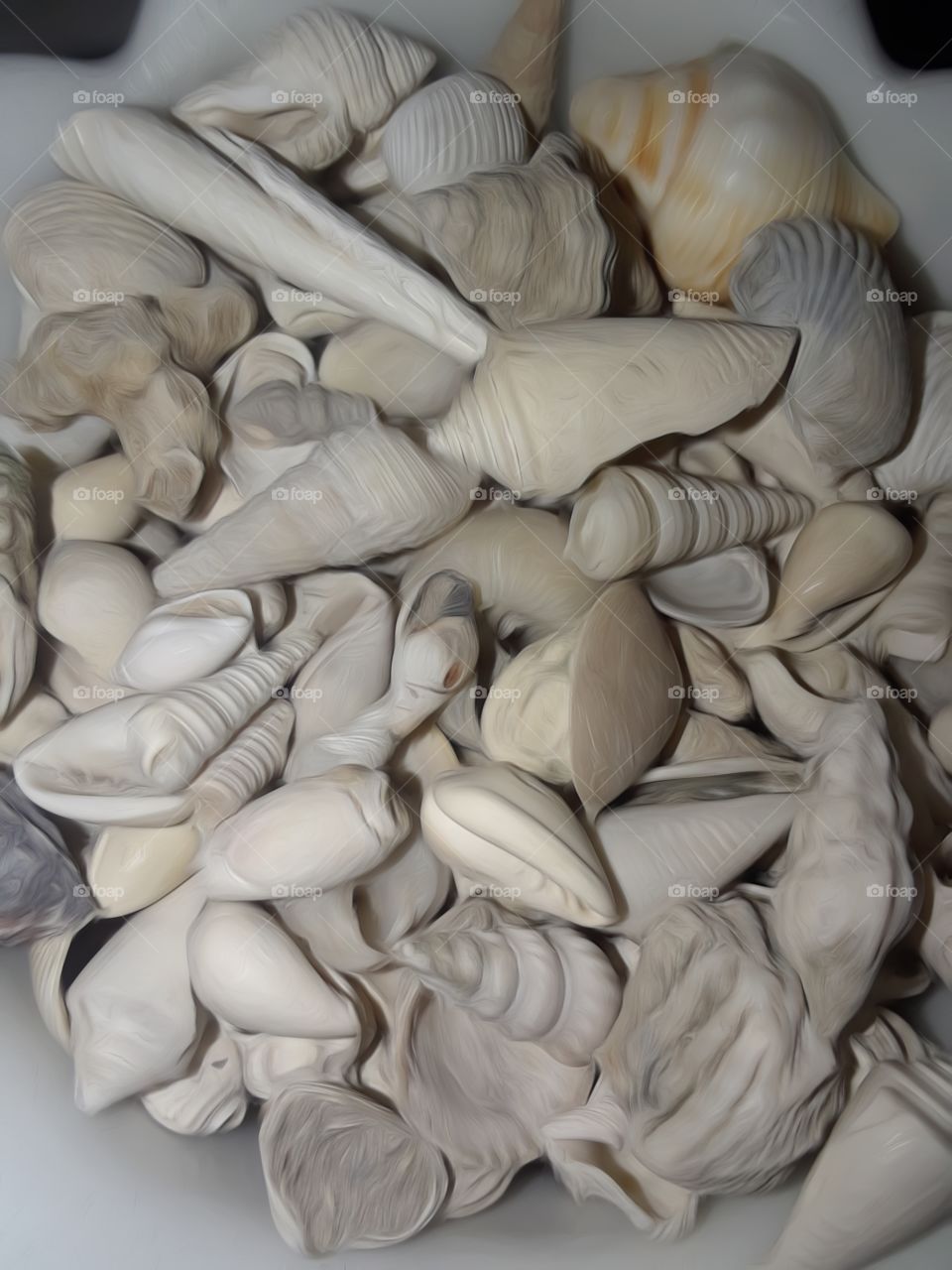 another seashell blur