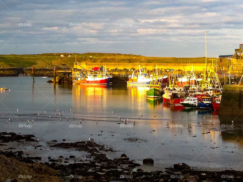 Harbour at sunset