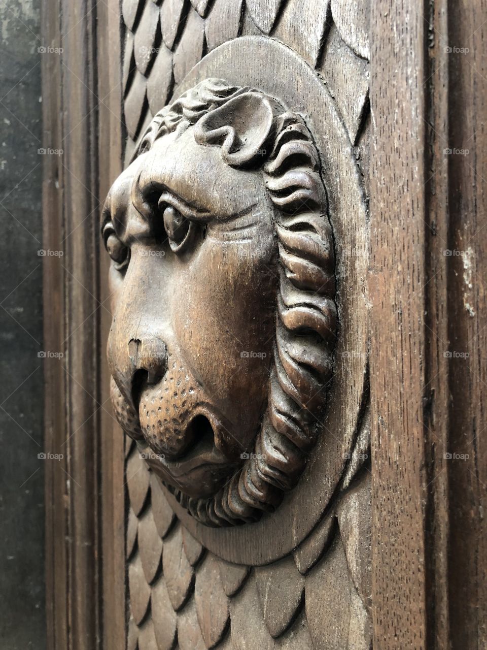 Sculpture of lion head on a door 