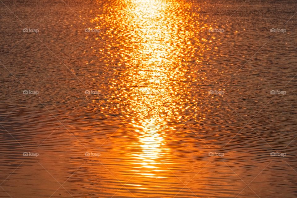 Sun light reflect on the river