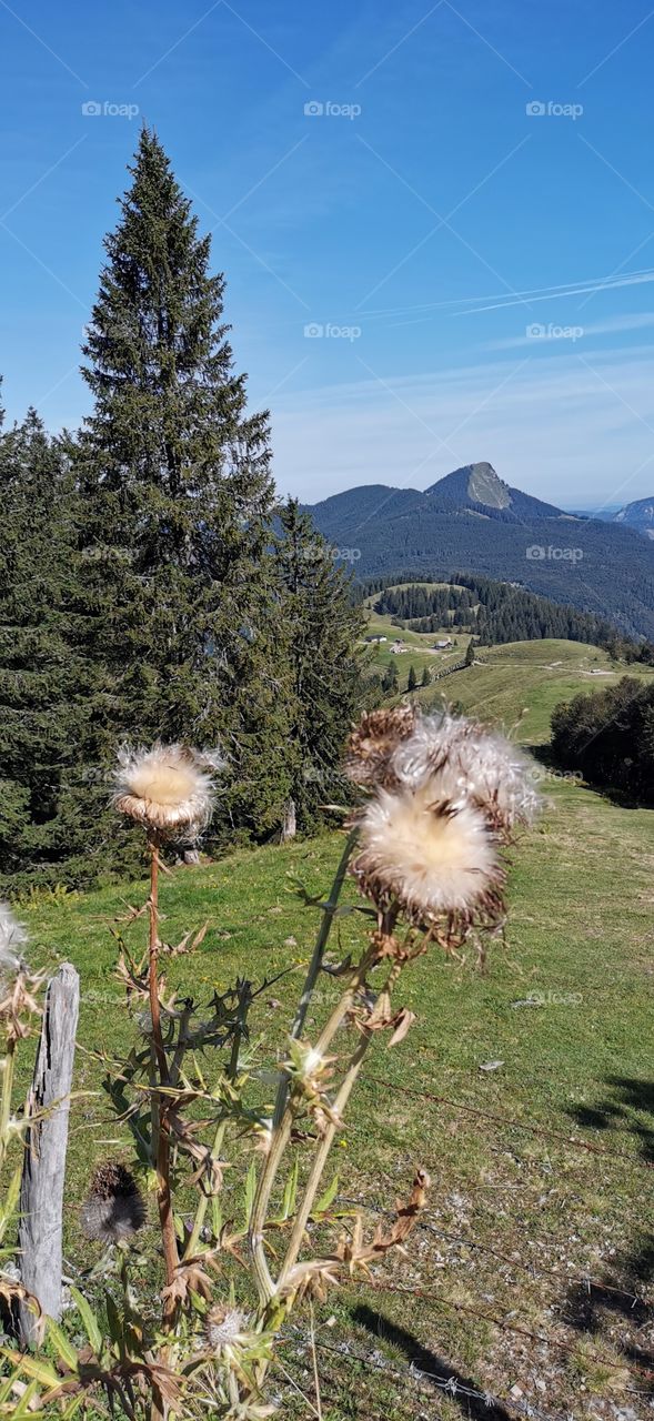 Unterwegs auf den Regenspitz