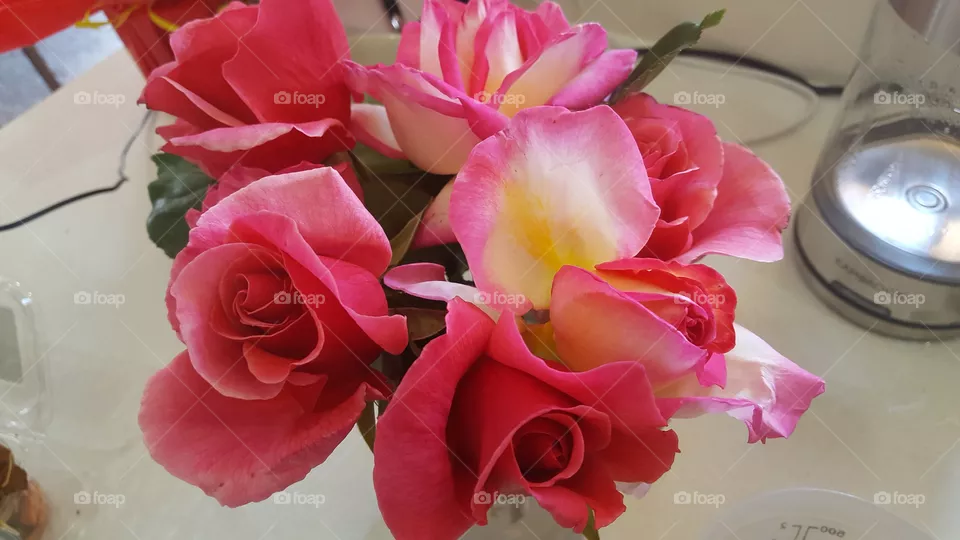 roses