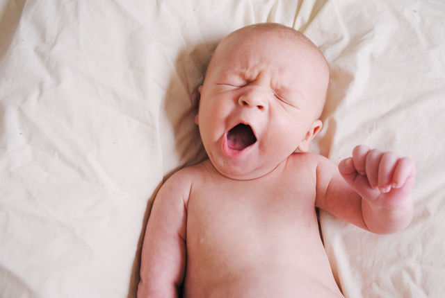 Yawn