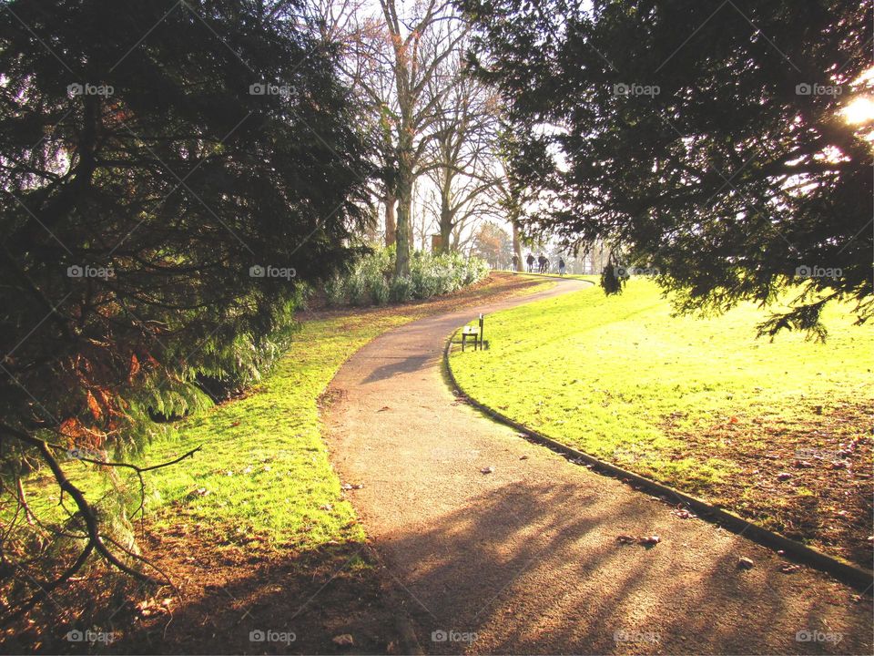 in the park