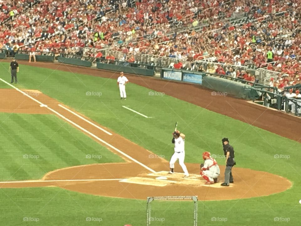 Baseball, Pitcher, Catcher, Stadium, Baseball Bat