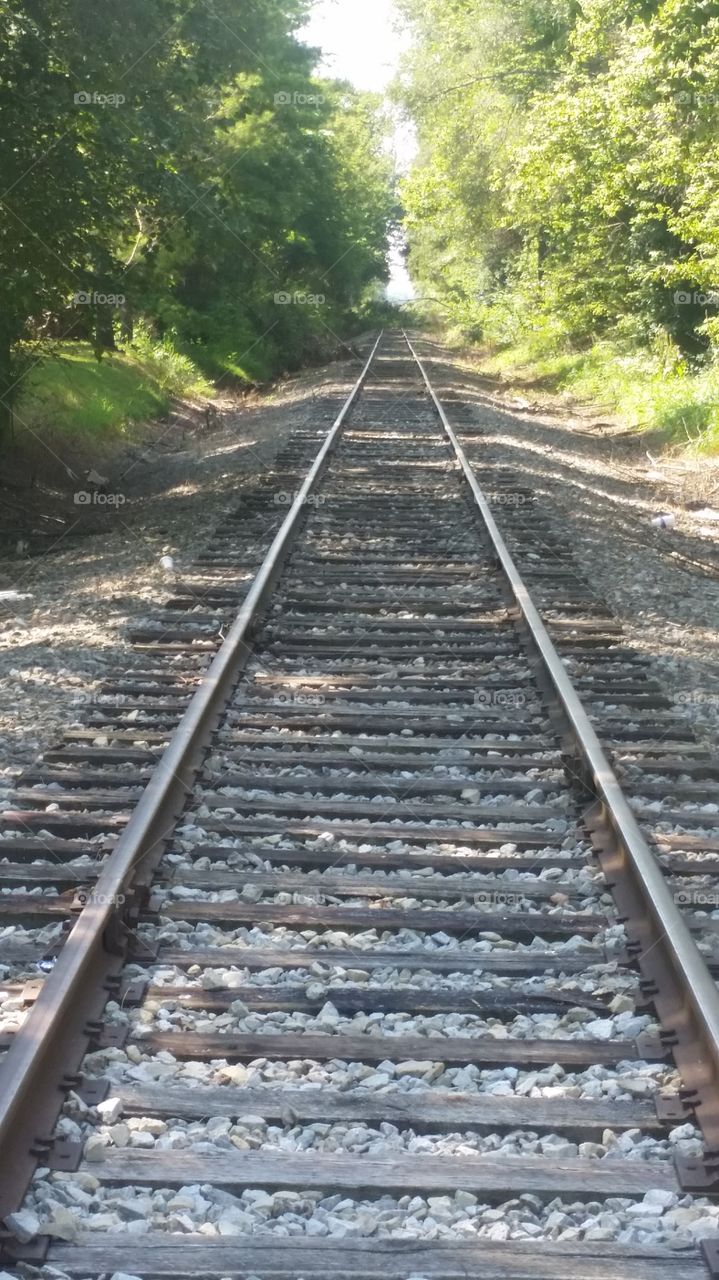 Tracks