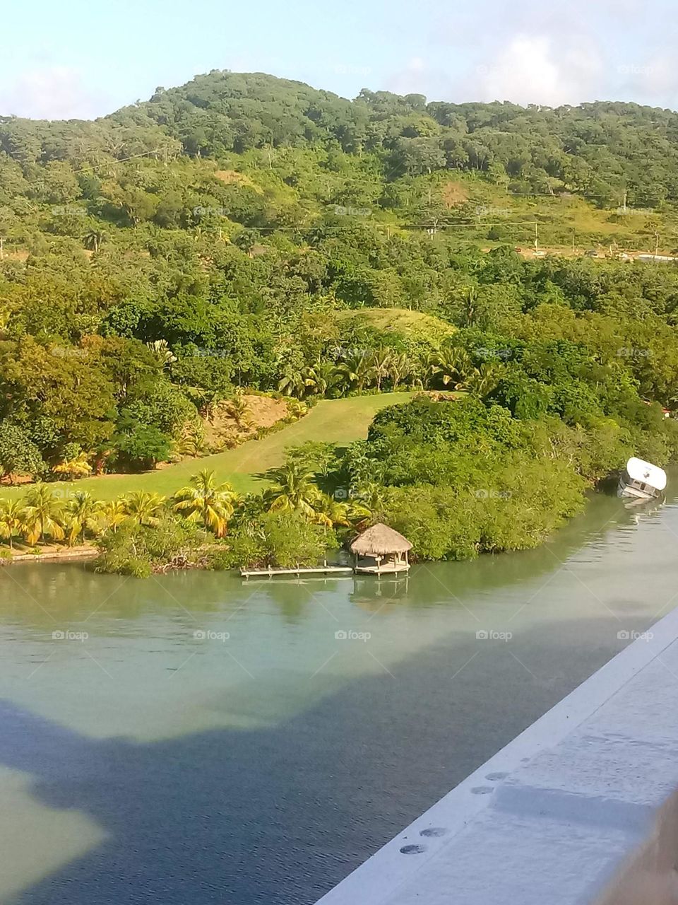 Ocean water bank and green trees and fields taken off of a cruise ship 