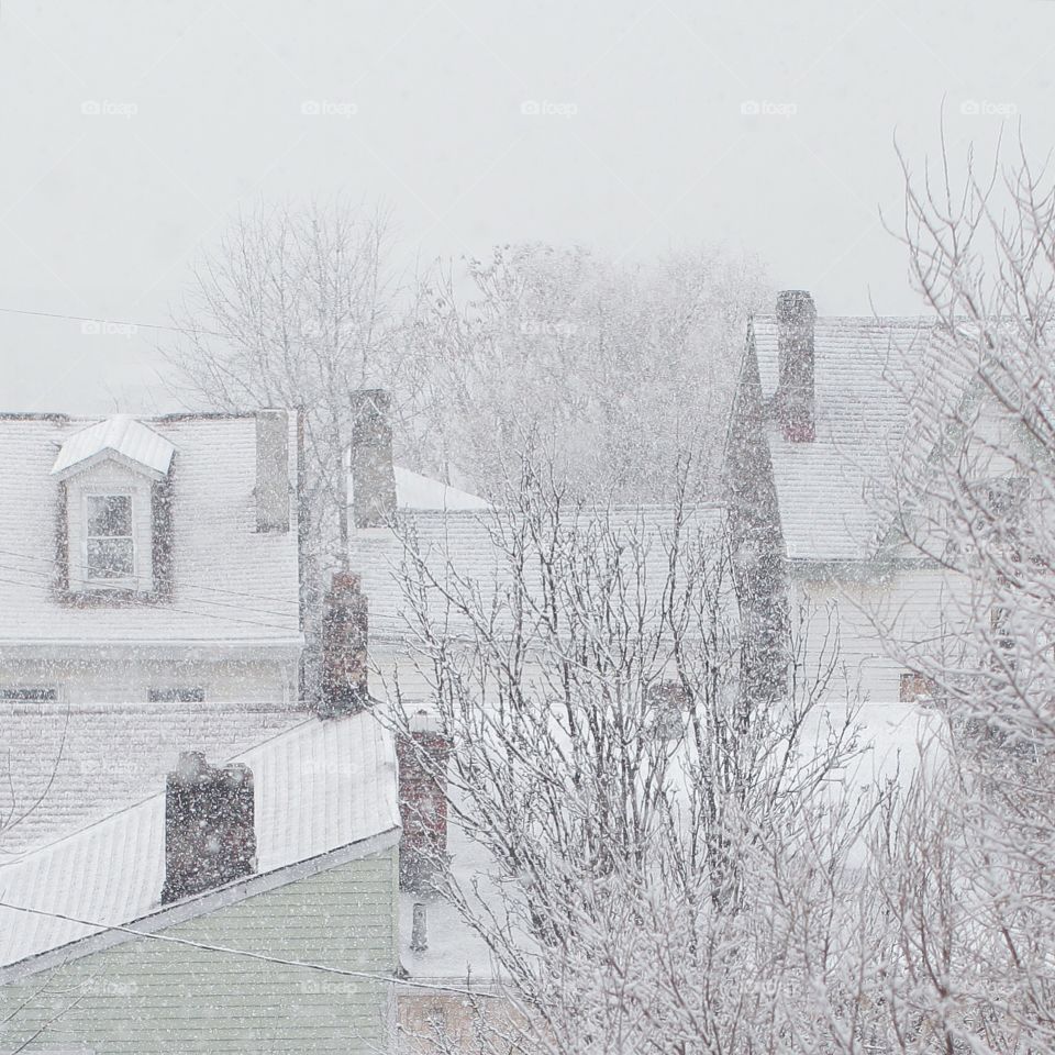 City snow white out.