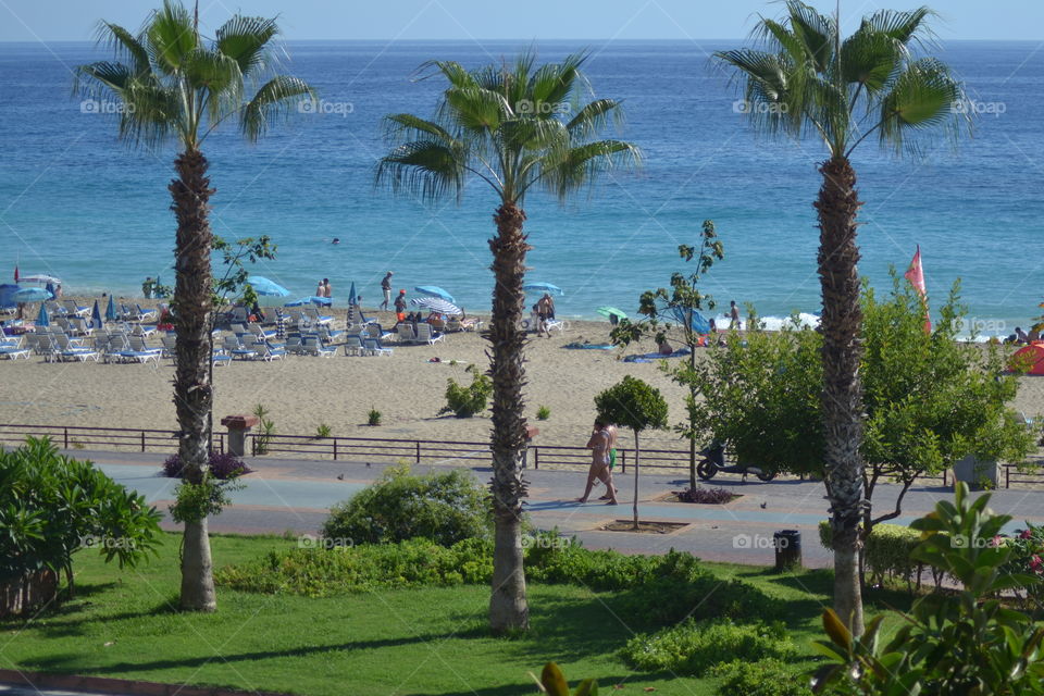 view of the beach