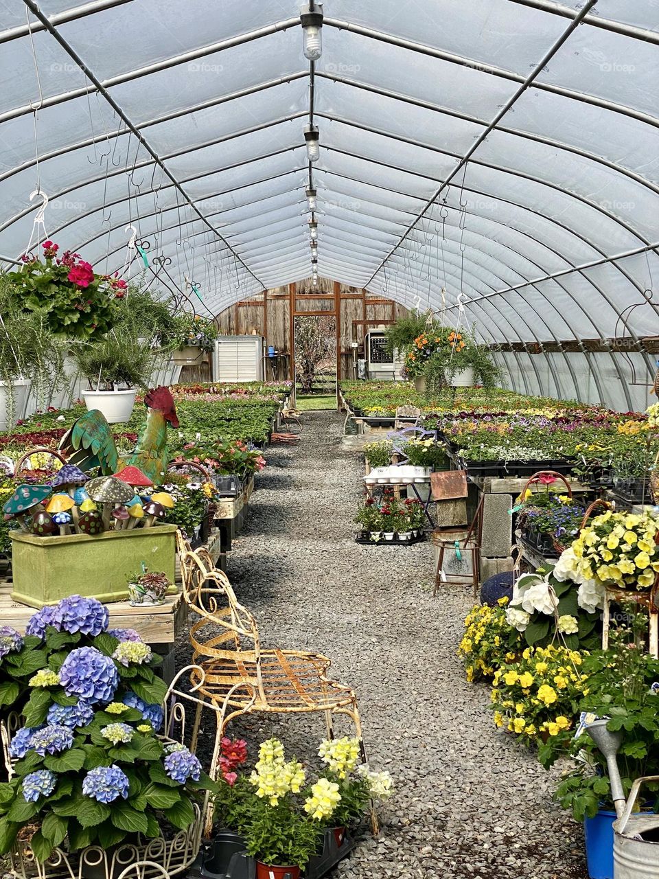 Plants and garden supplies in a greenhouse 