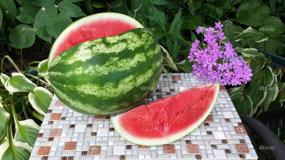 Watermelon picnic