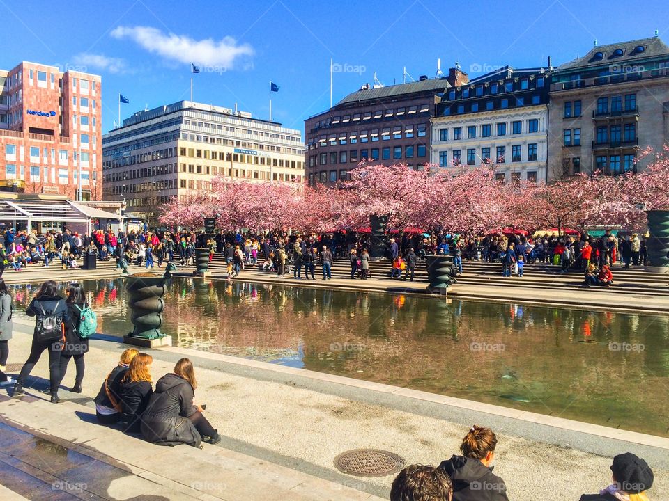 Kungsträdgården 