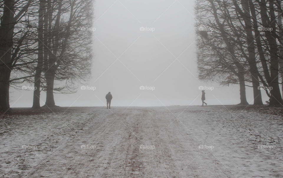 Foggy walk in park, Malmö, Sweden.