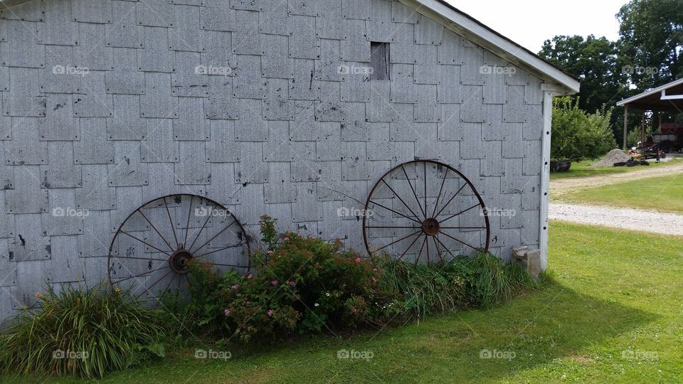 wagon wheels. blue Jay orchard