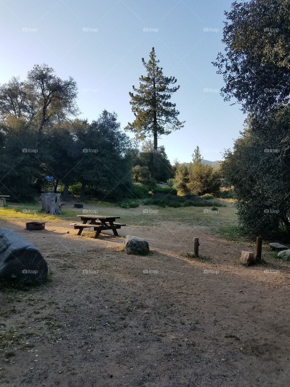 camp, camping, bench, picnic, park, trees, sunlight, tranquil, peaceful  nature, outdoors
