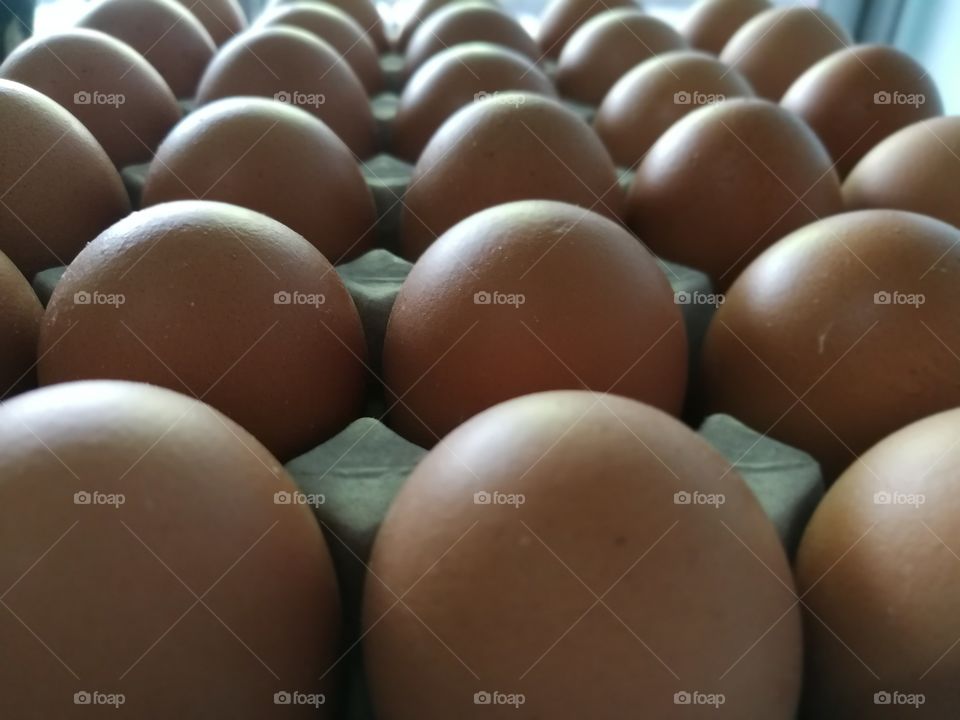 eggs