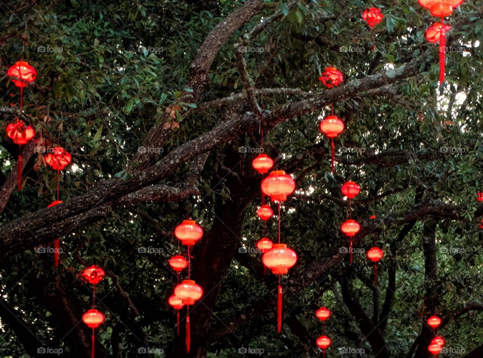 Hanging Chinese Lanterns
