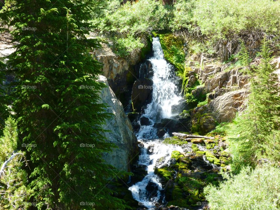 Sierra Stream