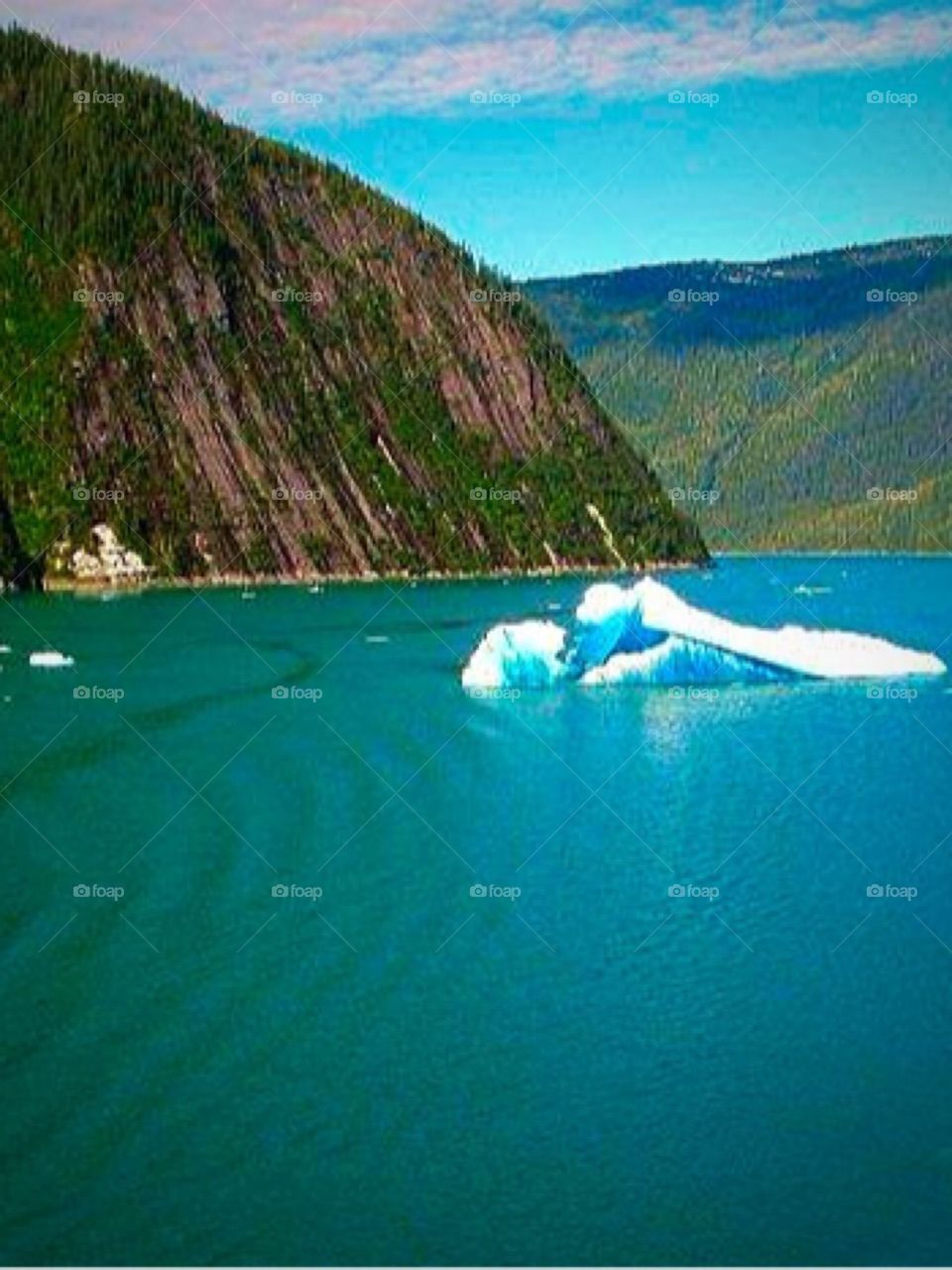 Alaskan Beauty. Iceberg Beauty