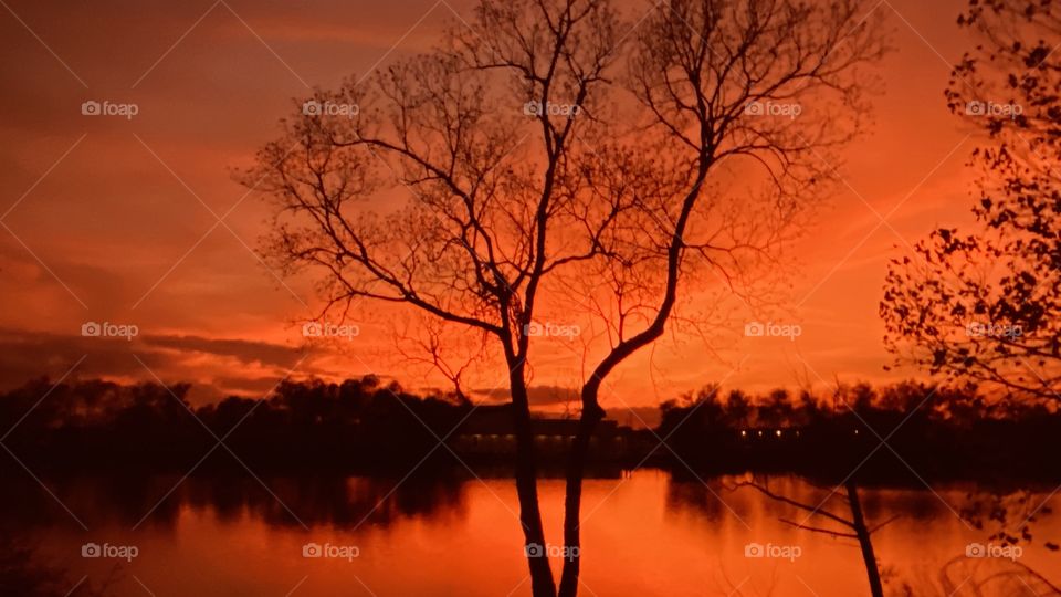 Orange Sky at Night Photographer Delight. Intense Orange Glow surrounds Everything is Engulfed with Beauty and Color. 