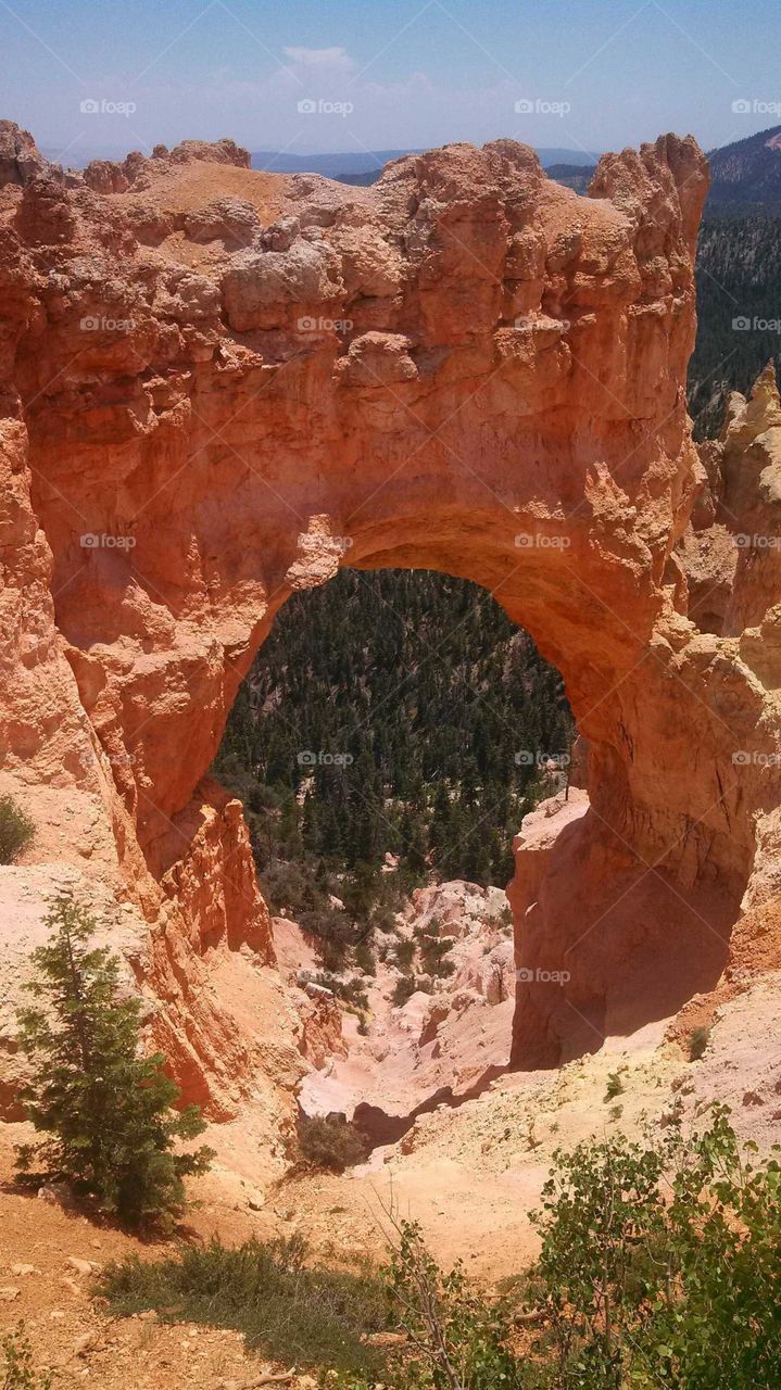 arch in bryce canyon