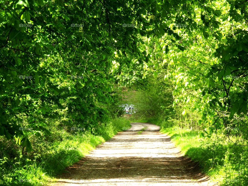 green arch 