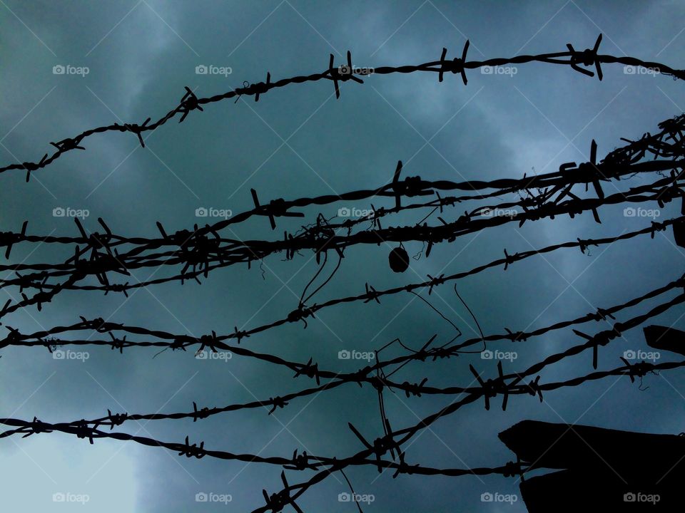 Barbed Wire, Wire, Fence, Jail, Sky