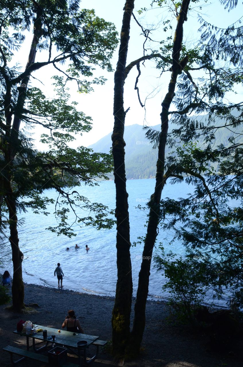 A group of friends swim in Lake Crescent in Olympic National Park of Washington state.