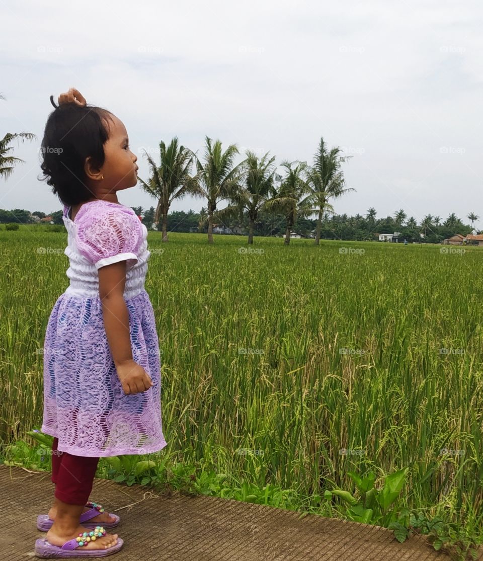 my daughter looked at the beauty of rice fields