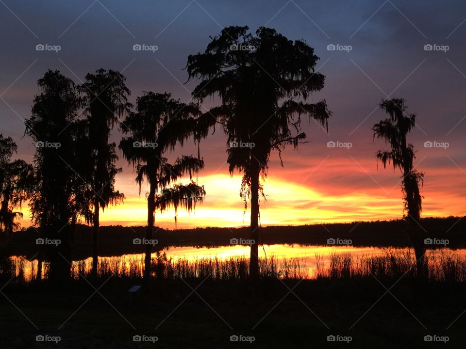 Sunset on Lake Reams