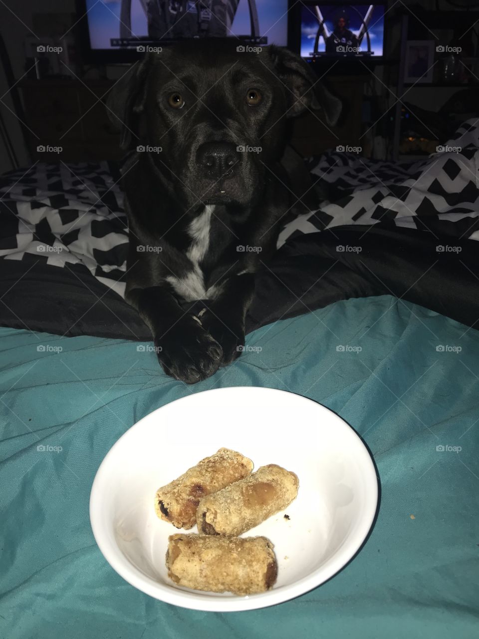 “Sittin’ Pretty”!