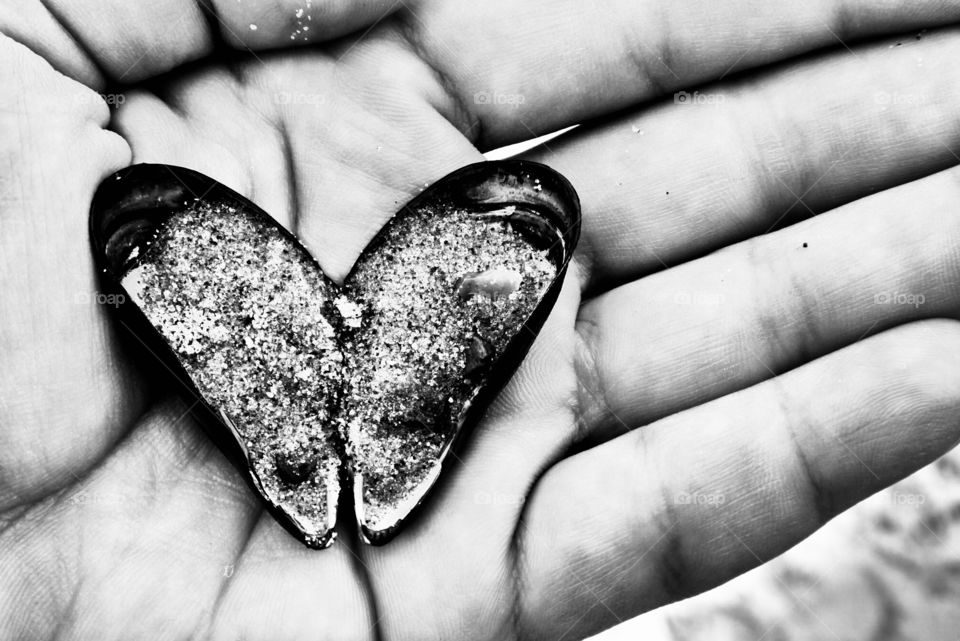 Shell Heart 