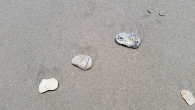 Washed Up