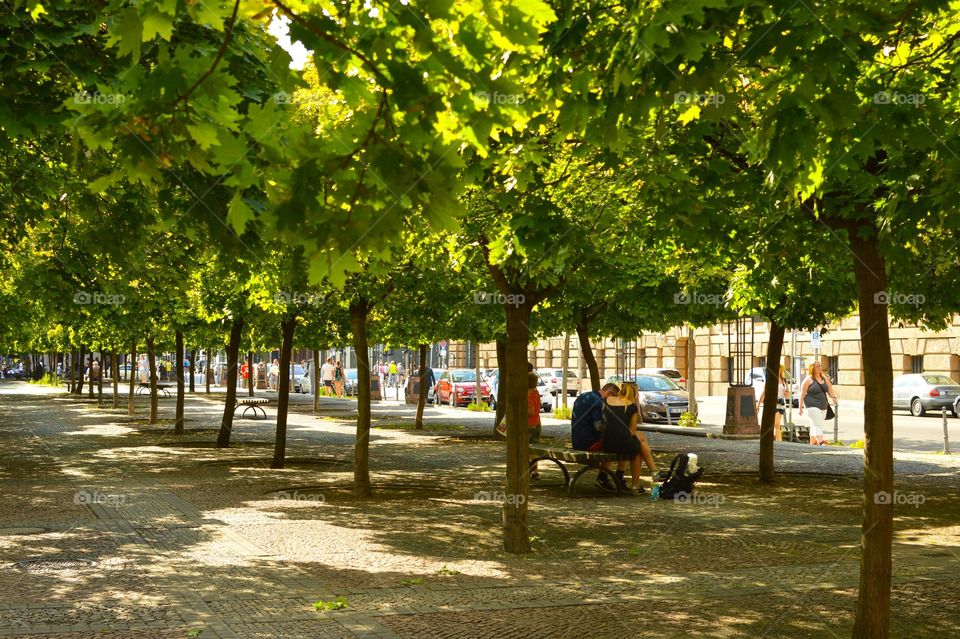 Sitting under the trees