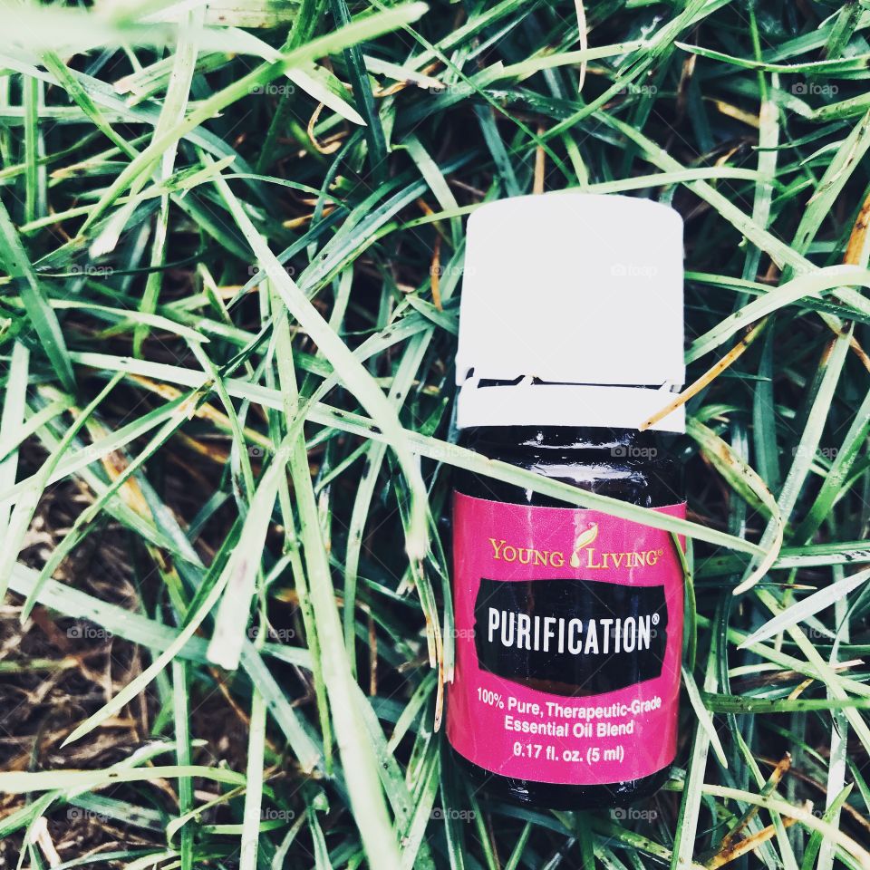 This uniquely clean and pure photo of Young Living’s Purification Essential Oil blend will help in finding the right people!  Post this to your timeline or your page and watch the sign ups pop up! 