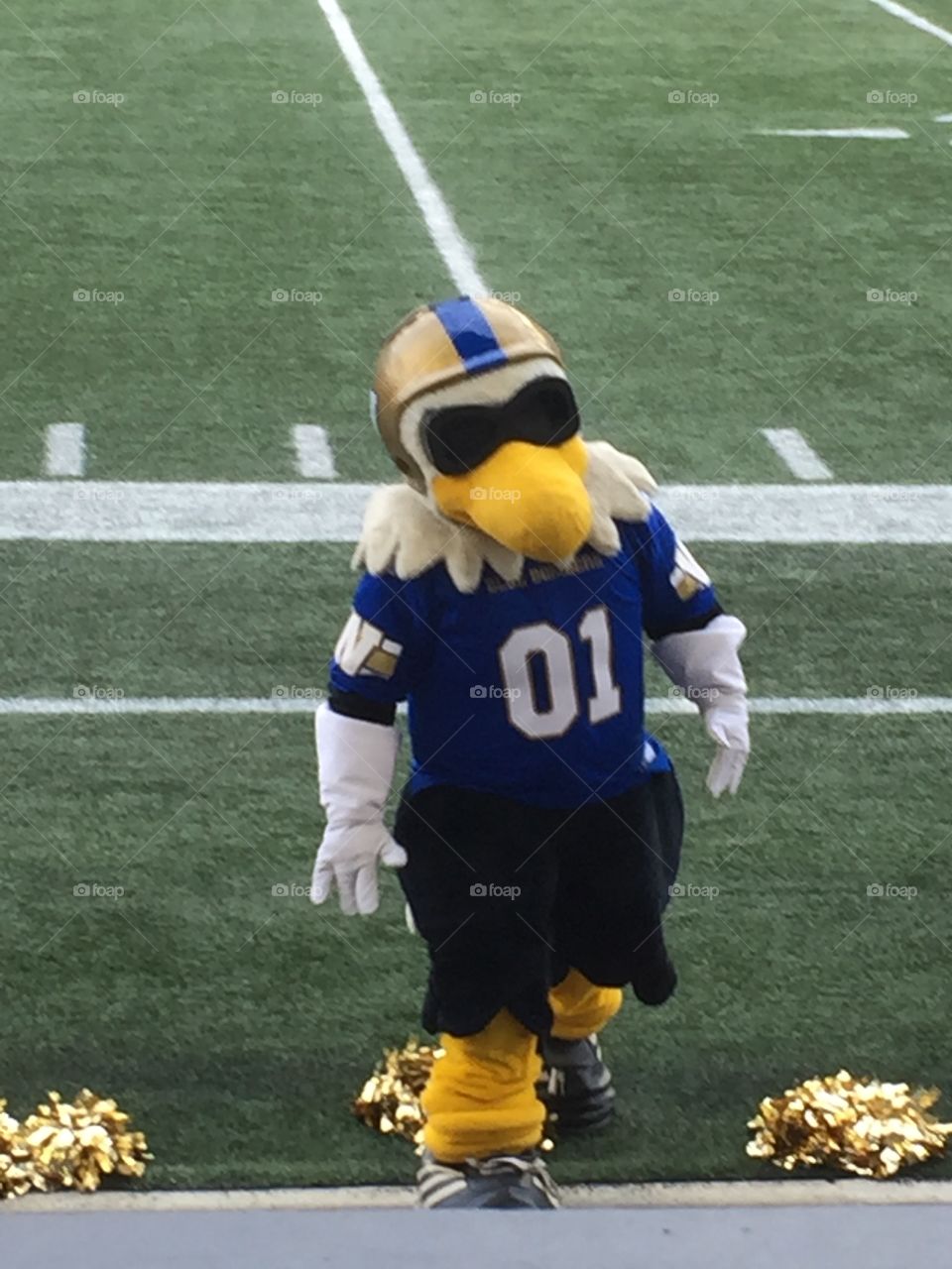 Winnipeg Blue Bombers Mascot 