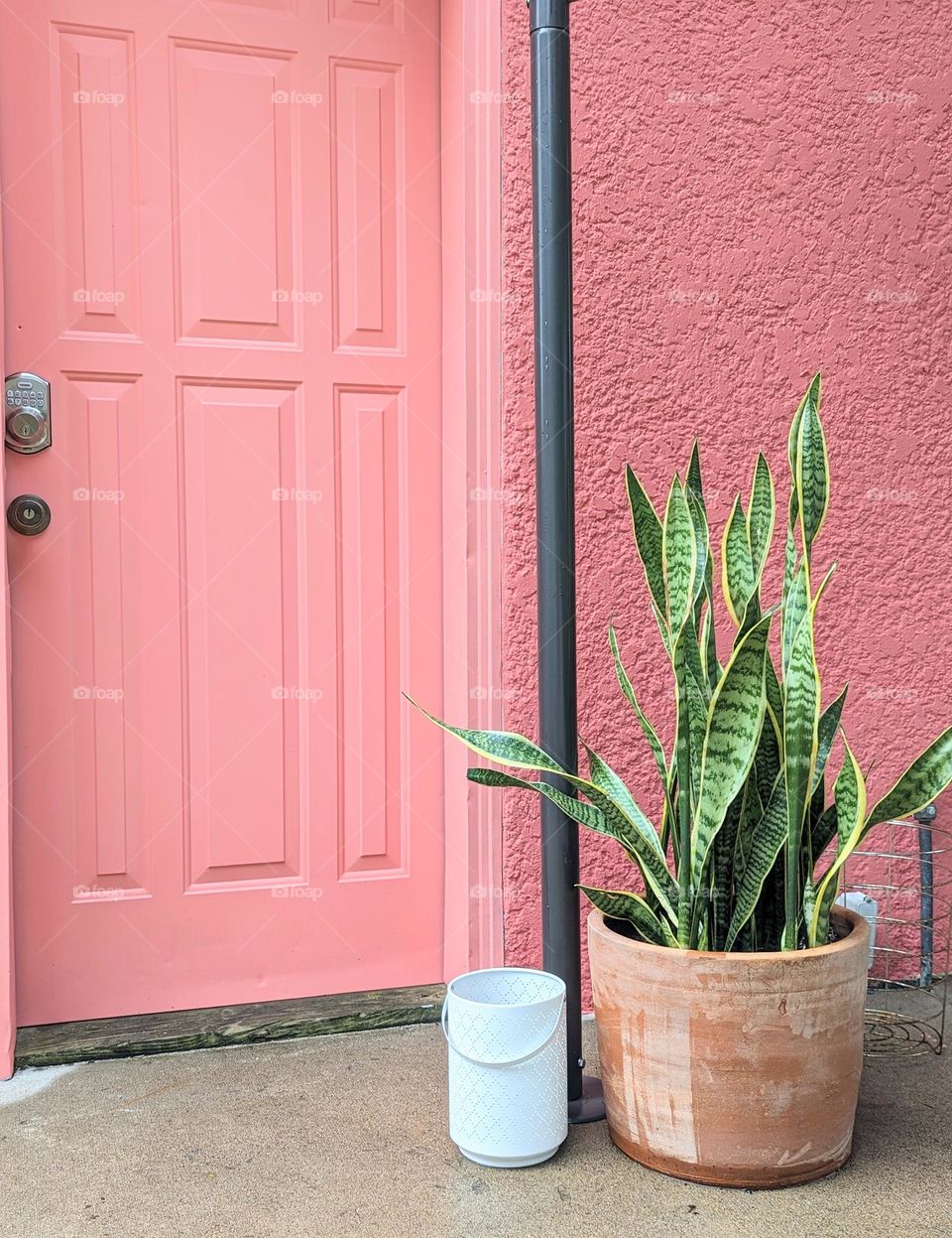bold pink house exterior and painted door with potted green mother in law tongue, snake plant in a terracotta pot and white patio lantern