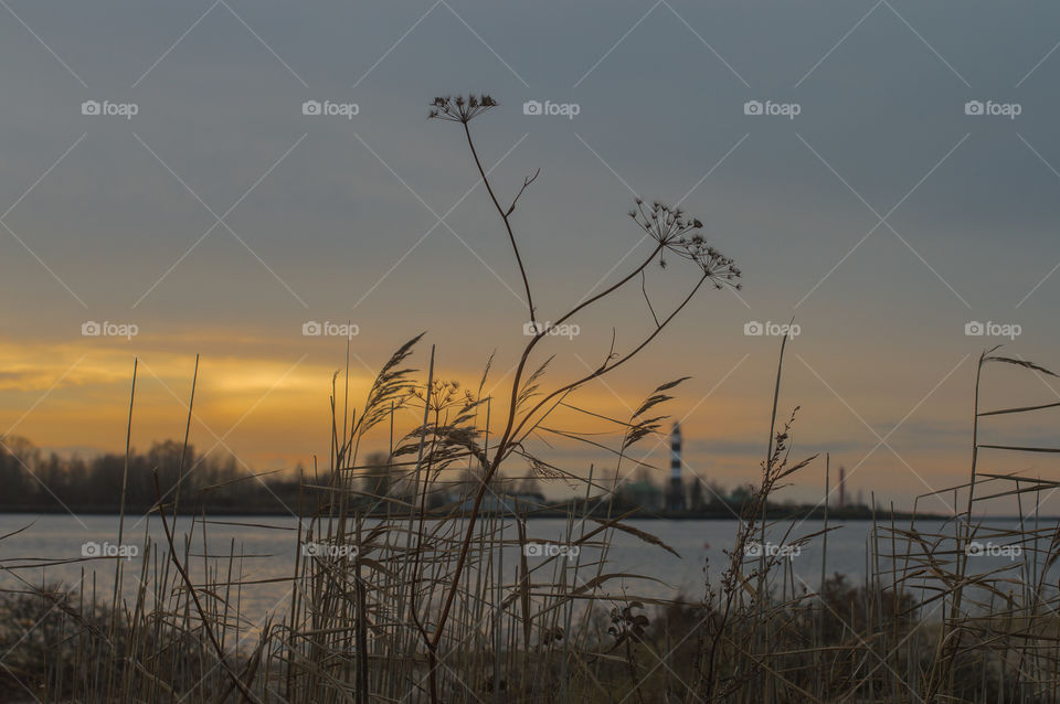 Sunset with dry grass, river and lighthouse