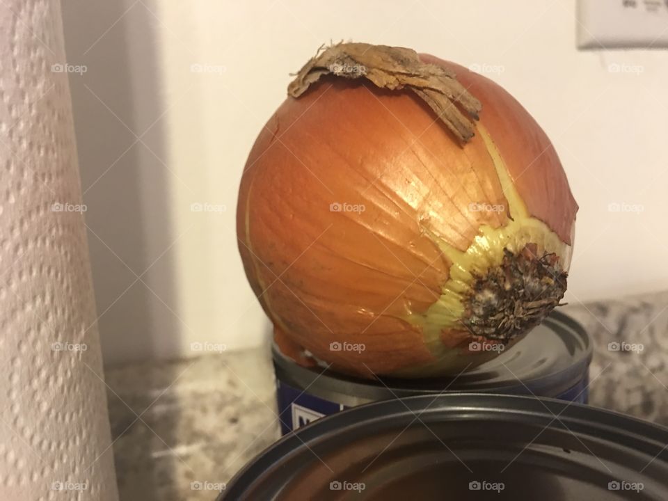 Onion