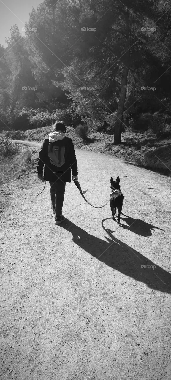 Paseo