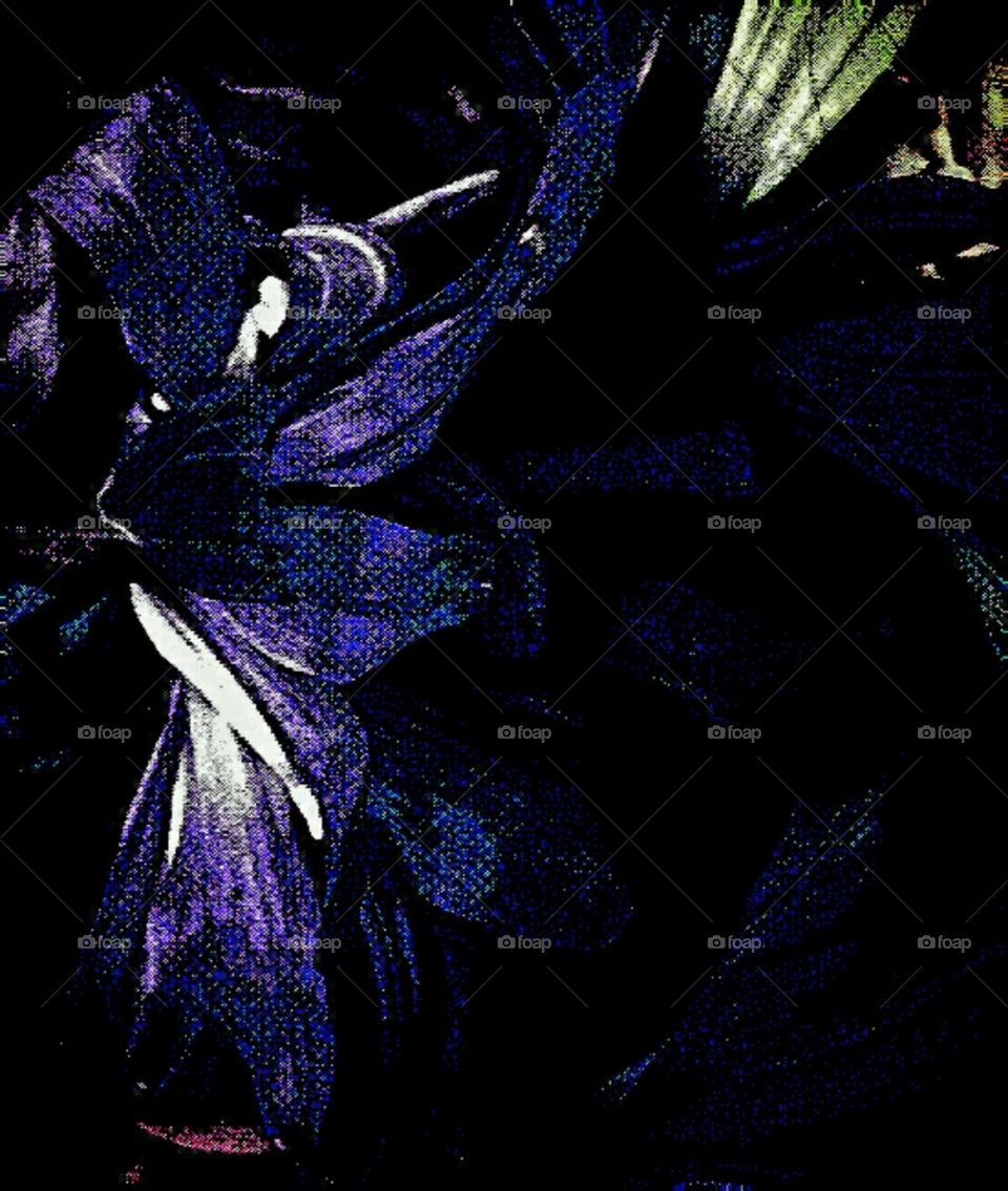 dancing bow. lighting effects