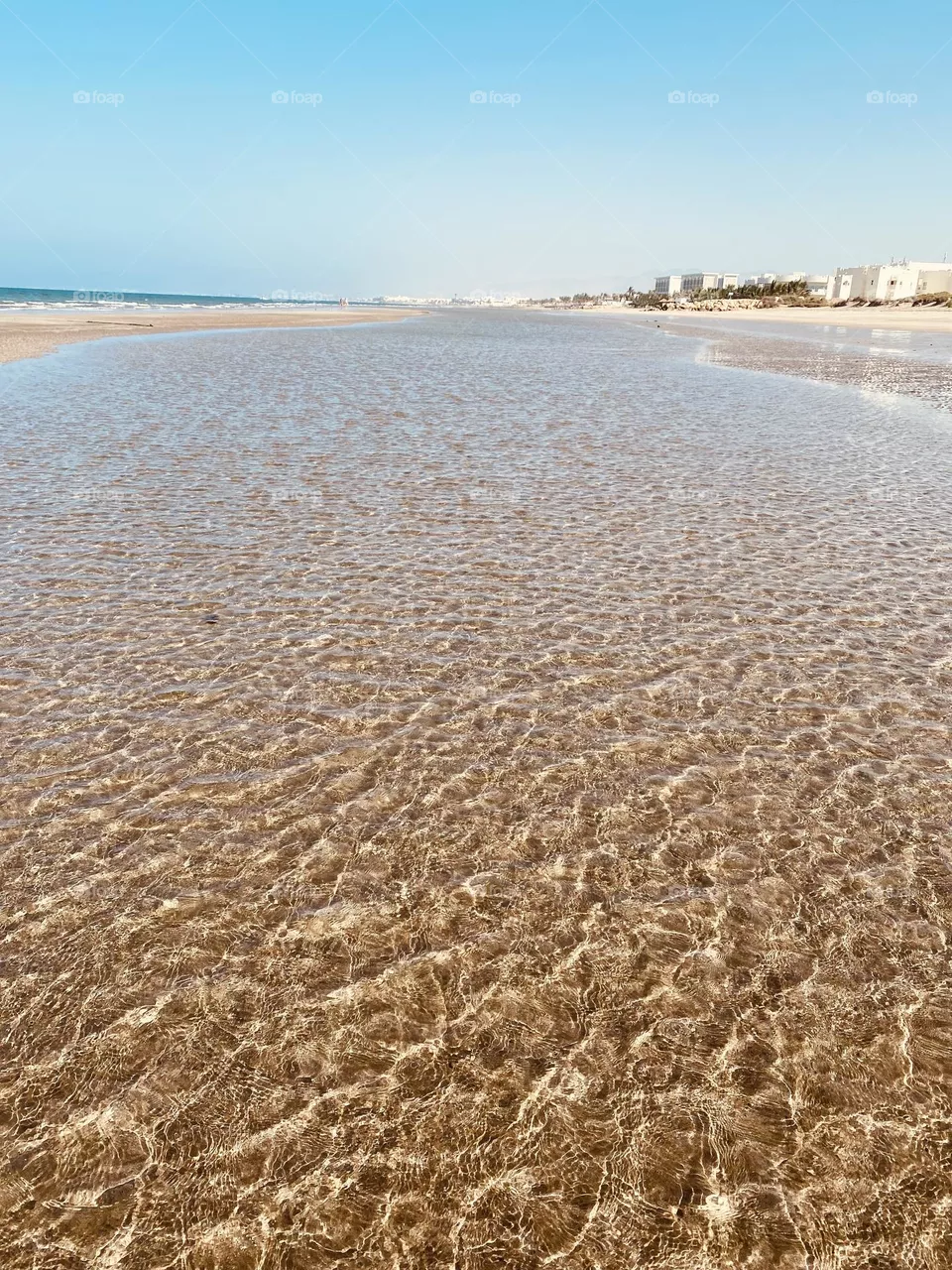 Sea shore