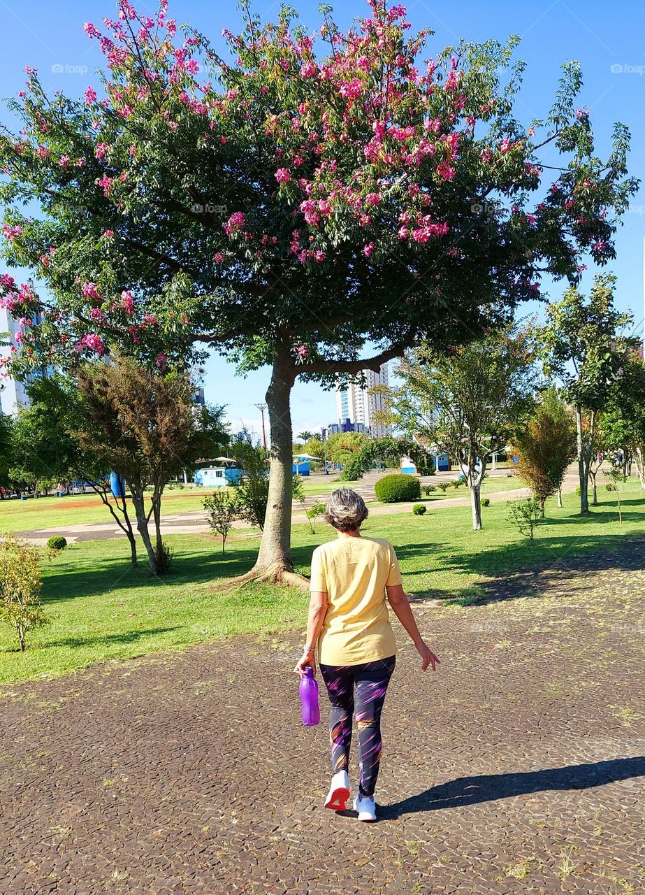 Exercícios para o físico, mas apreciar uma árvore florida é exercício para a alma.