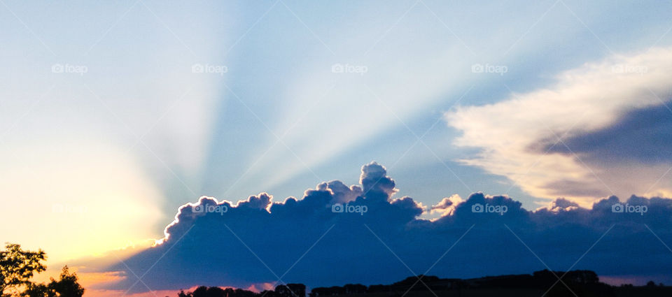 Just some gorgeous Aussie sun!