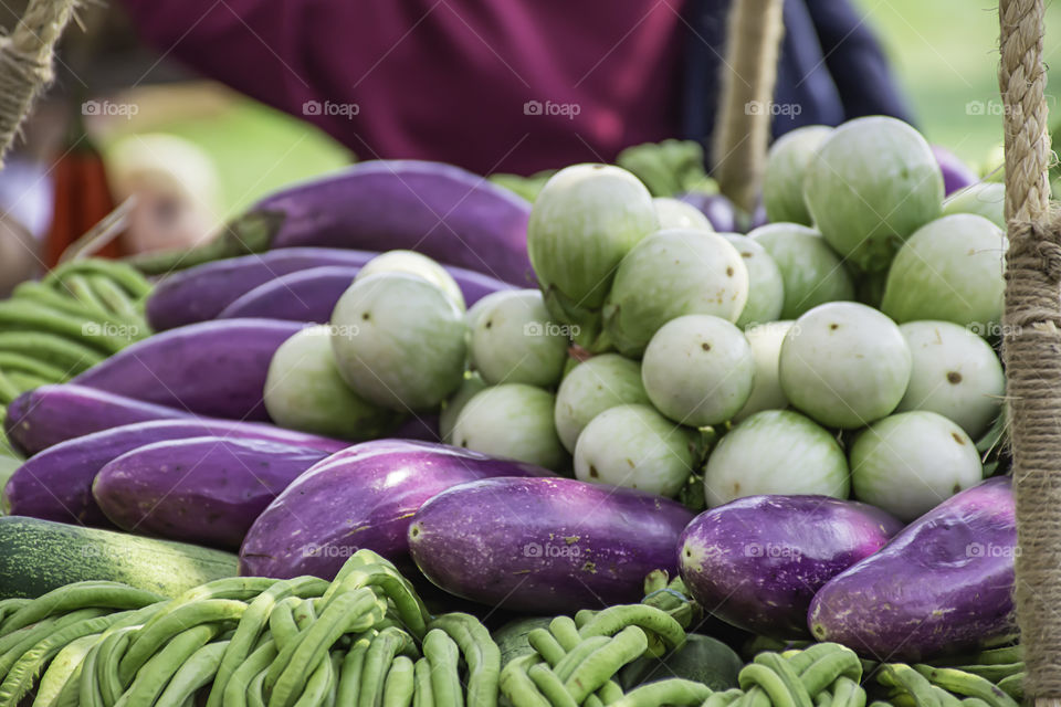 Tomato and eggplant purple The native vegetation of Thailand