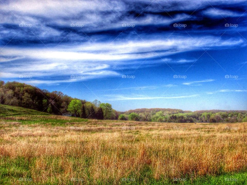 Stopping to take a look