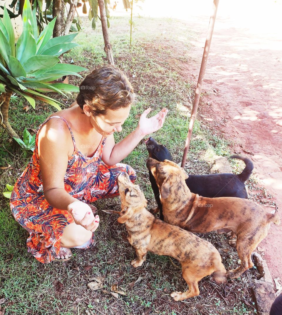 Girl and Dogs